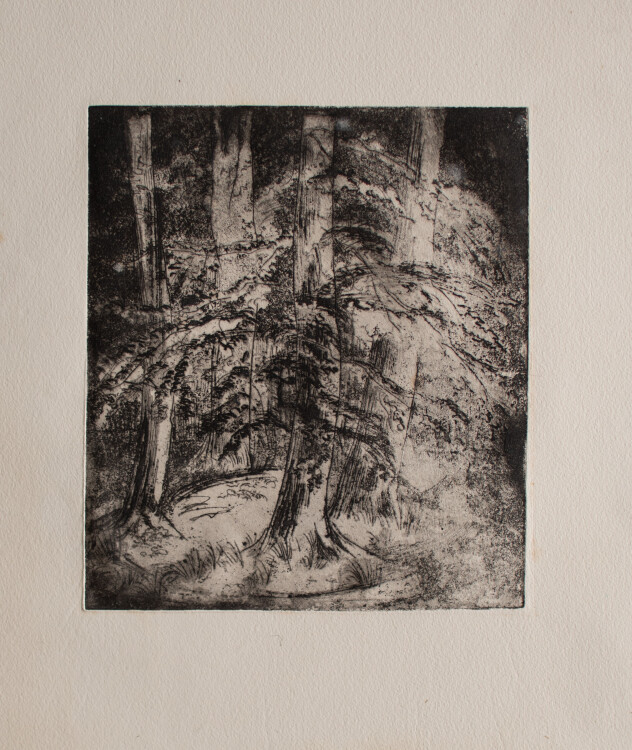 Gerhard Schulte-Dahling - Bäume im Wald - 1970 -...