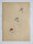 Gebrüder Casper - Entwurfszeichnung Schmuckringe lila, türkis, rot - o.J. - Aquarell