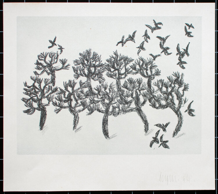 Mym - Vögel fliegen - 1964 - Lithografie