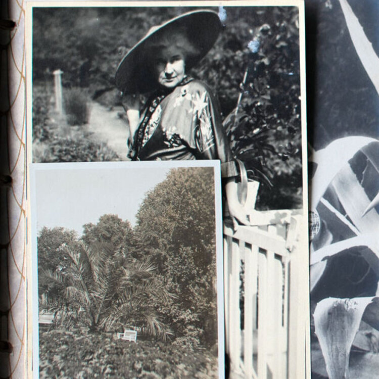 unbekannt - Fotoalbum Gräfin Hermine Grote von Hanau - 1860-1930 - Fotoalbum