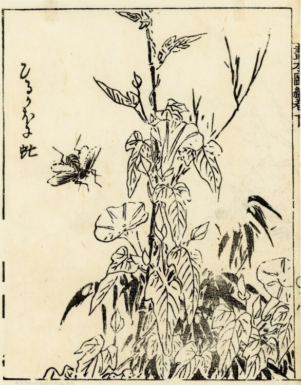 unbekannt - Blühende Pflanze mit Insekt - o.J. - Japanischer Holzschnitt