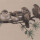 unbekannt - Sperlinge auf einem Zweig - o.J. - Aquarell
