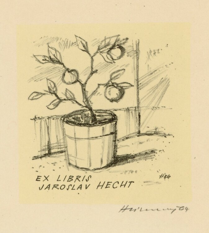 unbekannt - Ex Libris Obstbaum - 1964 - Lithografie