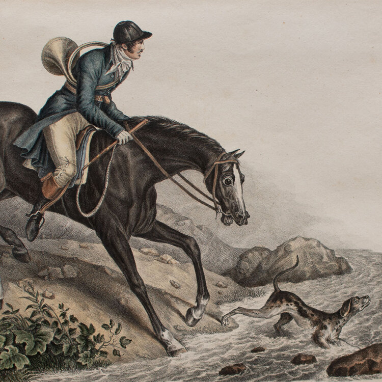 Karl Joseph Brodtmann - Englisches Jagdpferd - 1827 - Aquarellierte Lithografie