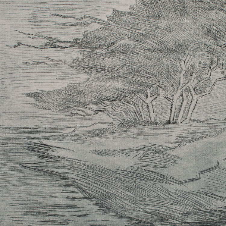 Emil Maetzel - Landschaft mit Windflüchtern - 1944 - Radierung