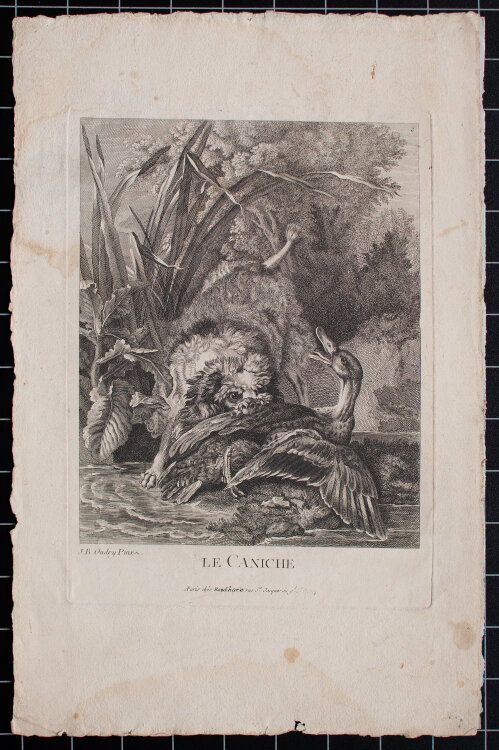Jean Baptiste Guélard nach Jean Baptiste Oudry - Le Caniche - Der Pudel - o.J. - Radierung