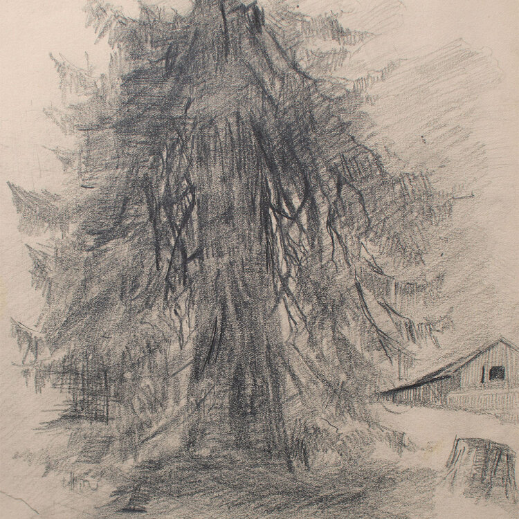 Mathilde von End - Vom Blitz getroffener Baum - 1925 -...