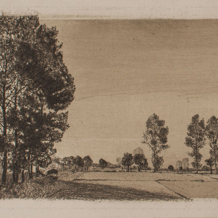 Felix Hollenberg - Flachlandschaft mit hohen Pappeln - 1897 - Radierung