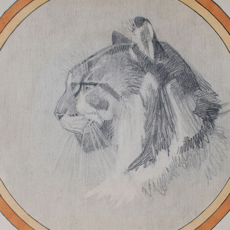 unbekannt - Katze - 1938 - Bleistift
