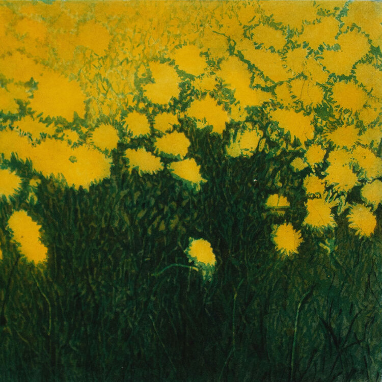 Helga Wirth - Butterblumen - 2006 - Farbradierung