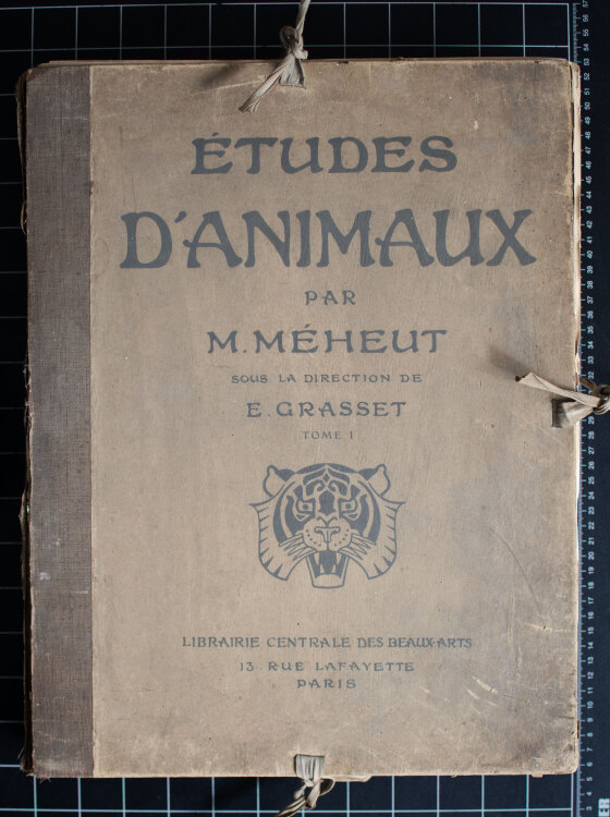 Mathurin Méheut - Etudes dAnimaux - 1911 -...