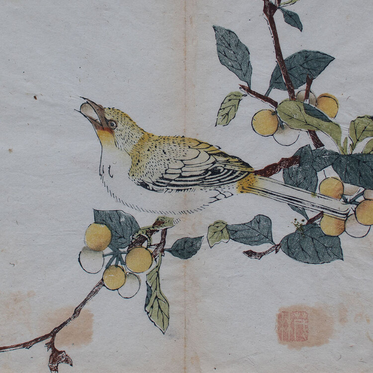 Yen Hu Cheng - Vogel aus: Zehnbambushalle (Shizhuzhai...