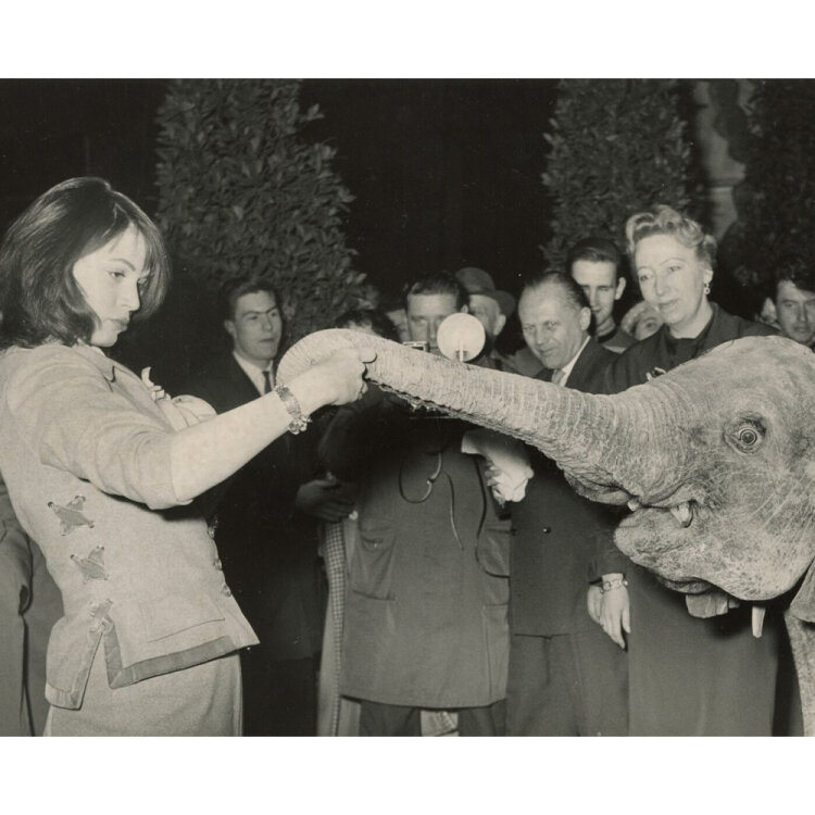 Pressebild-Agentur Schirner - Eva Partok taufte Elefanten...