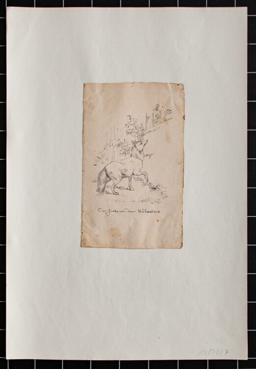 Joseph Simon Volmar - Ein Fuchs vor dem Hühnerhaus - Tuschezeichnung - 1840