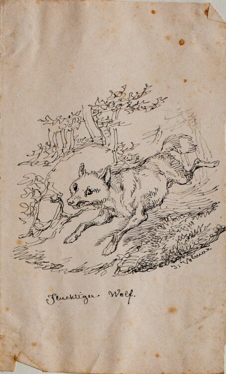 Joseph Simon Volmar - Flüchtiger Wolf - Tuschezeichnung - 1840