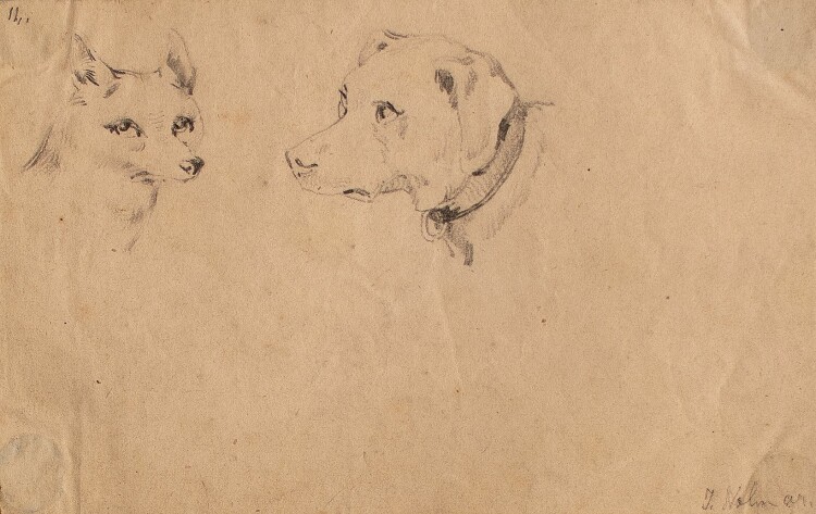 Joseph Simon Volmar - Zwei Hundeköpfe - Bleistiftzeichnung - o. J.