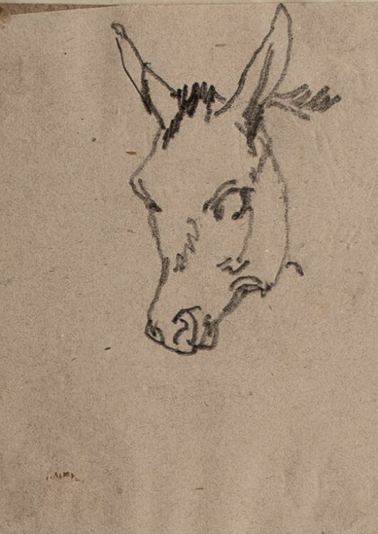 Joseph Simon Volmar - Kopf eines Esels - Tuschezeichnung - o.J.