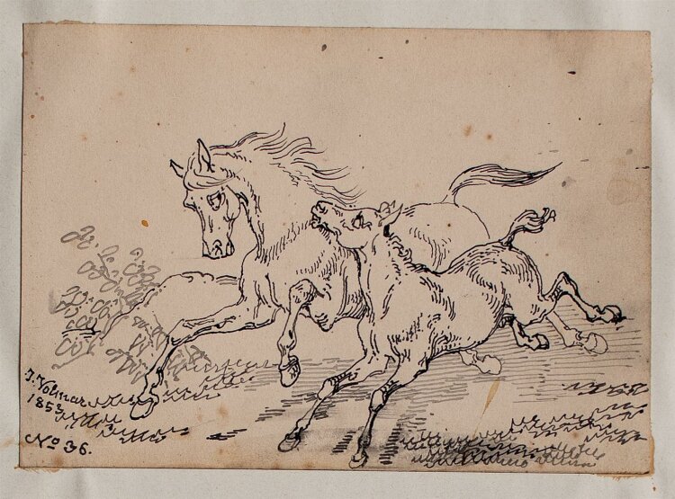 Joseph Simon Volmar - Pferd mit Fohlen - Tuschezeichnung - 1853