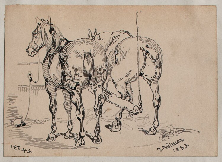 Joseph Simon Volmar - Pferde an der Tränke - Tuschezeichnung - 1853