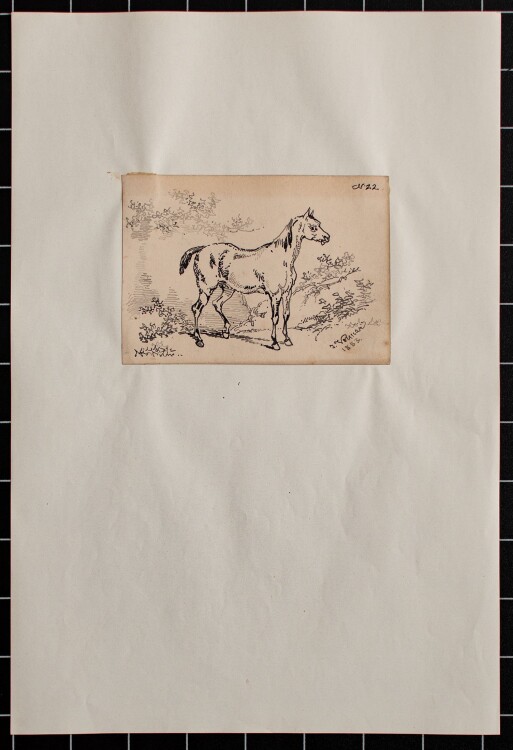 Joseph Simon Volmar - Pferd - Tuschezeichnung - 1853