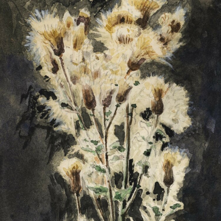 Unbekannt - Blühende Distel - o. J. - Aquarell