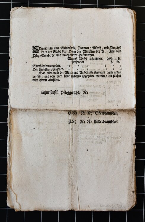 Kurfürstliches Pfleggericht - Anzeige - Januar 1725