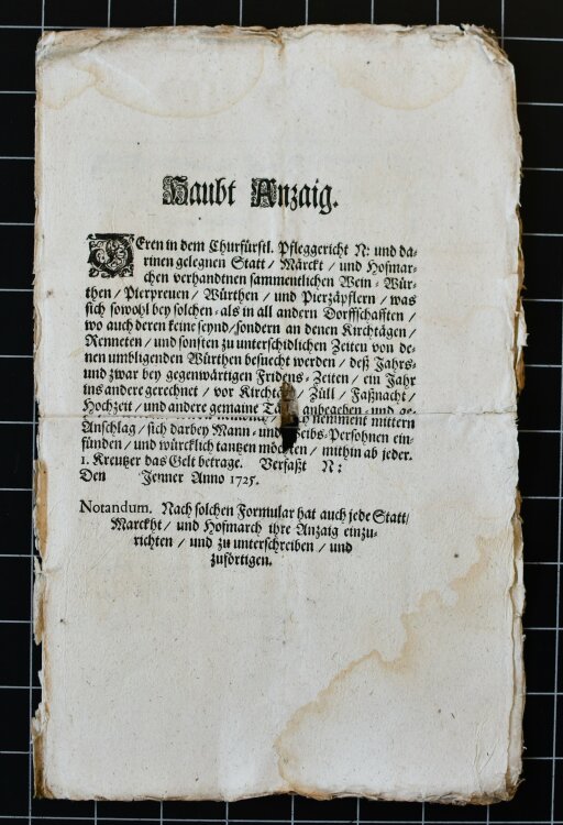 Kurfürstliches Pfleggericht - Anzeige - Januar 1725