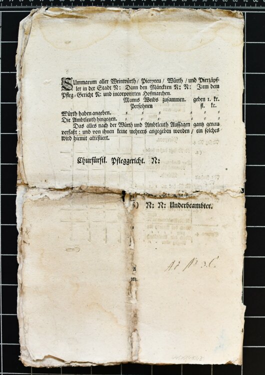 Kurfürstliches Pfleggericht - Anzeige - Januar 1725