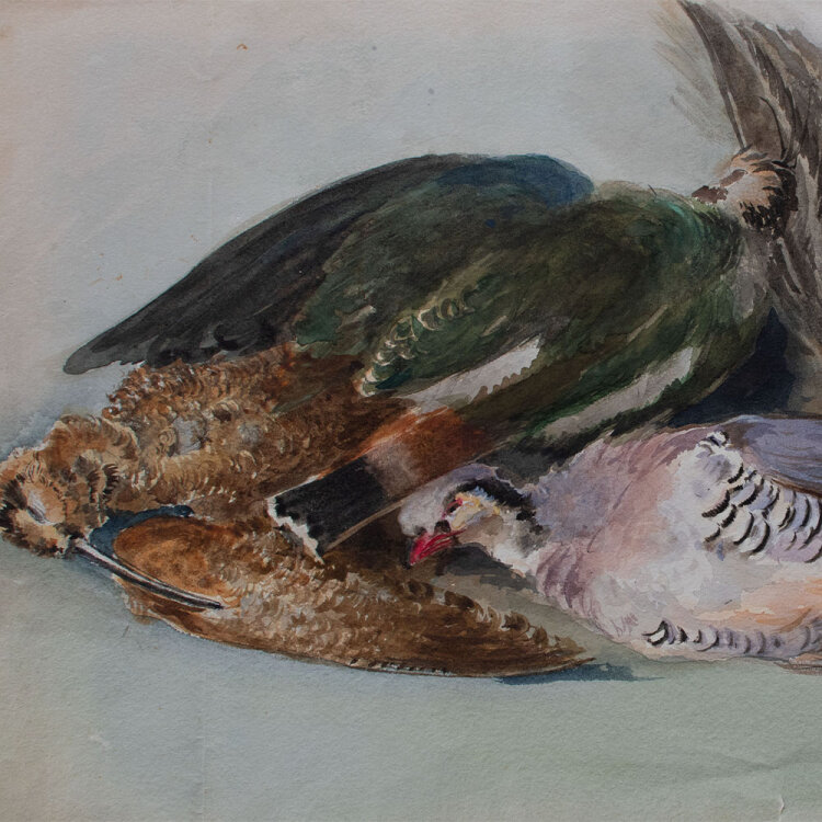 unbekannt - Stillleben mit Vögeln - ca. 1890 - Aquarell über Bleistift