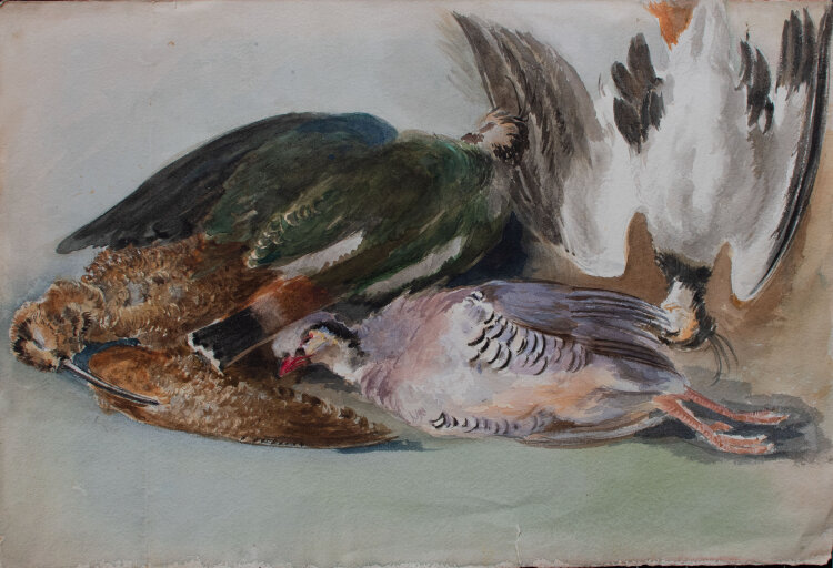 unbekannt - Stillleben mit Vögeln - ca. 1890 - Aquarell über Bleistift