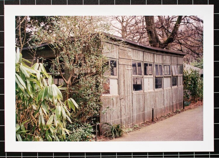 Walter Dahn - Blair Witch? (Haus für Vögel) - 2004 - Fotografie