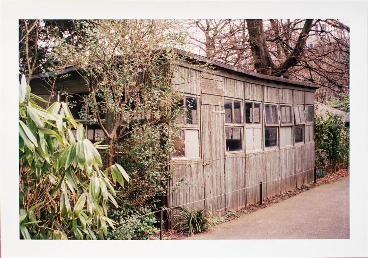 Walter Dahn - Blair Witch? (Haus für Vögel) - 2004 - Fotografie