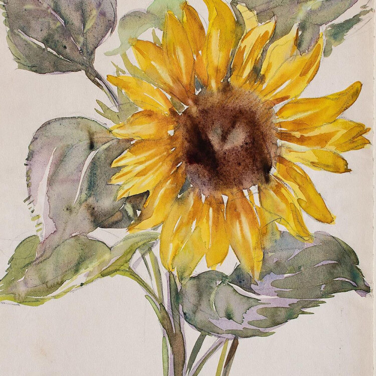 Otto Eissner - Sonnenblume - 1934 - Aquarell