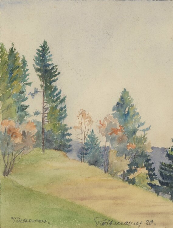 Unbekannt - Wiesenlandschaft mit Bäumen - 1920 - Aquarell