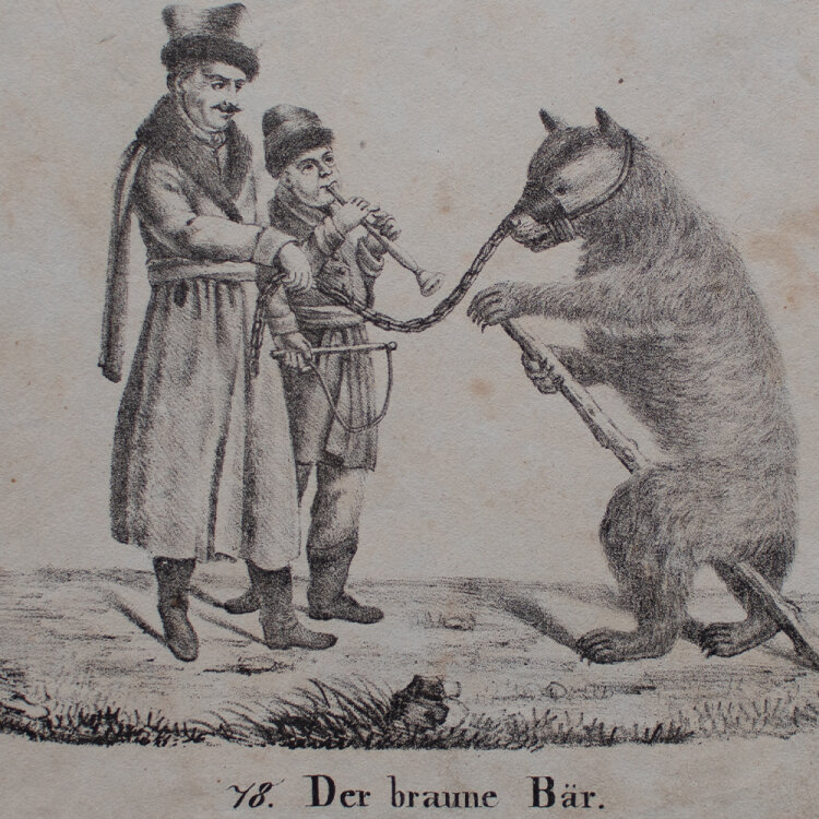 unbekannt - Der Braune Bär - undatiert - Lithografie