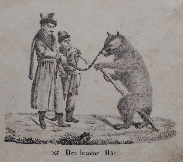 unbekannt - Der Braune Bär - undatiert - Lithografie