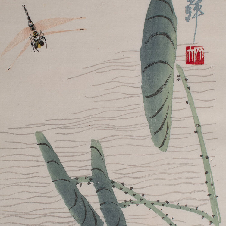 Qi Baishi - Libelle - undatiert - Farbholzschnitt