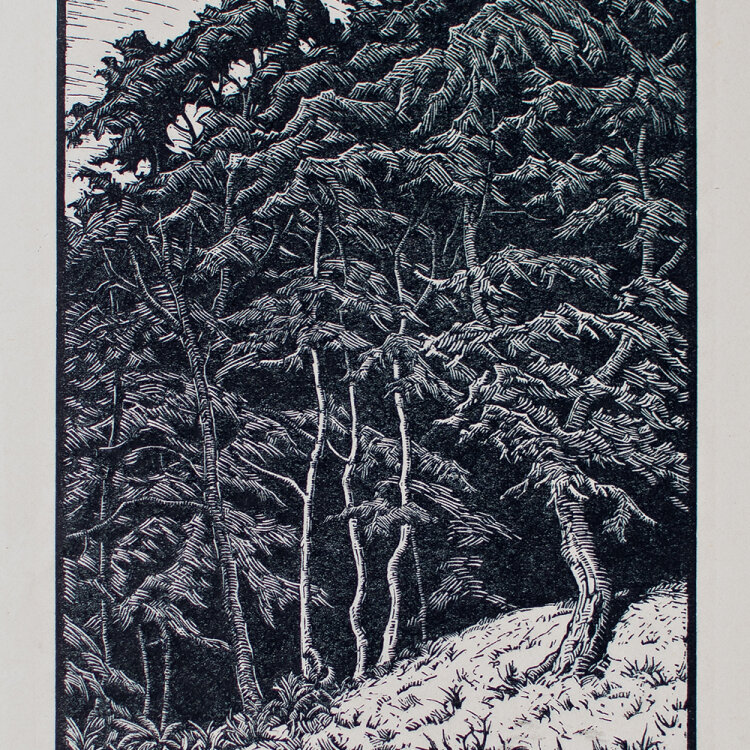 Karl Hennemann - Waldlichtung - 1951 - Holzschnitt