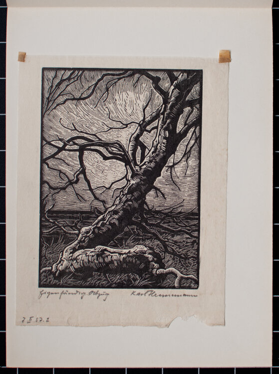 Karl Hennemann - Knorriger Baum - 1957 - Holzschnitt