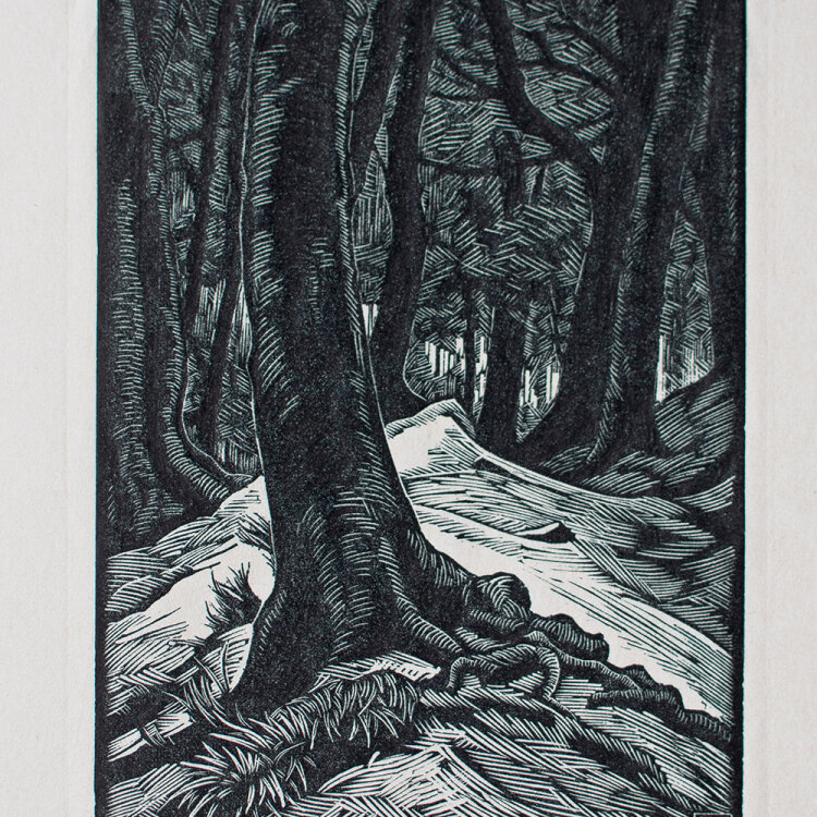 Karl Hennemann - Wald II - 1951 - Holzschnitt