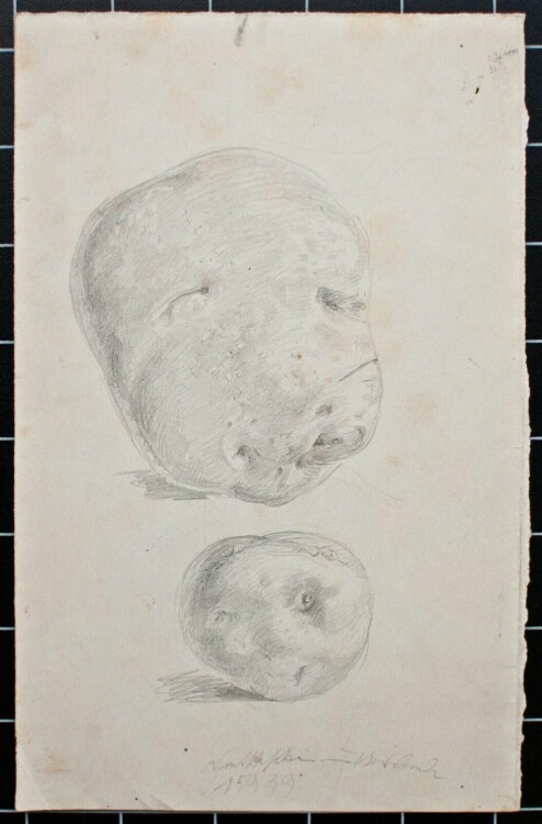 Bruno Héroux - Kartoffeln - o.J. - Bleistift