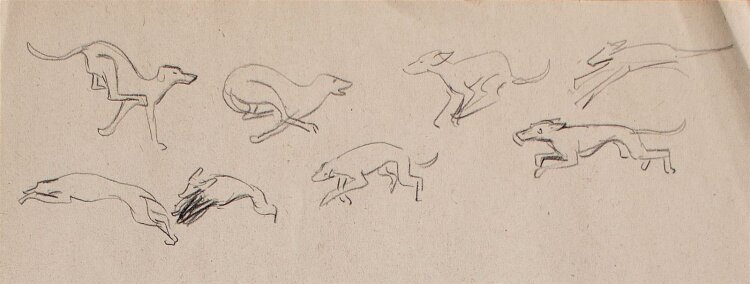 Herbert W. Hoedt - Skizze Hunde - Bleistiftzeichnung - o. J.