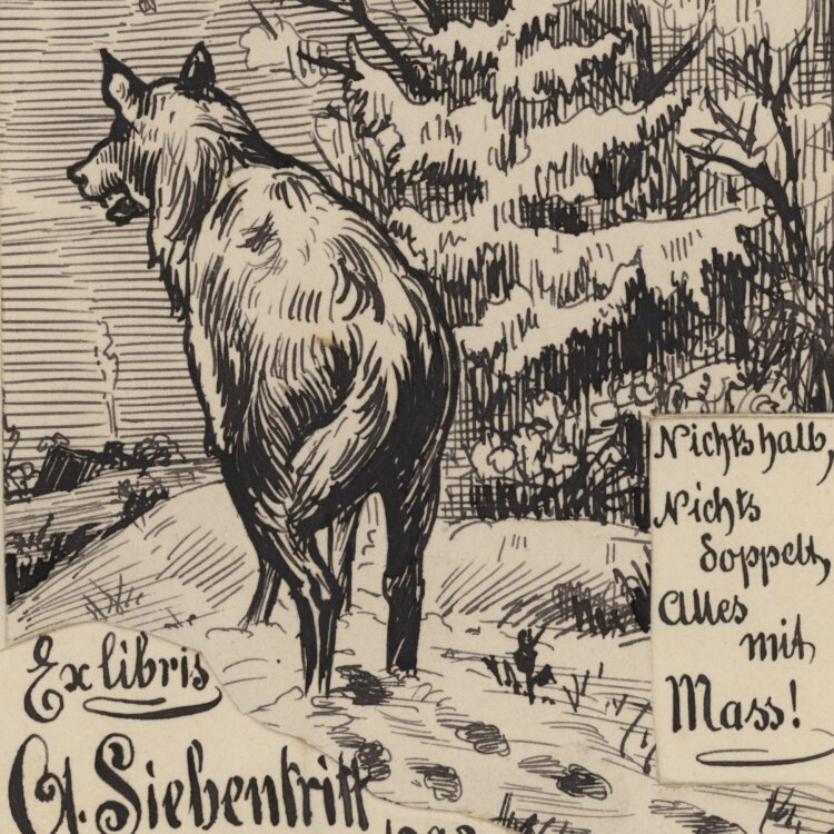 R. W. - Exlibris für A. Siebentritt - um 1905 - Tinte, Tusche