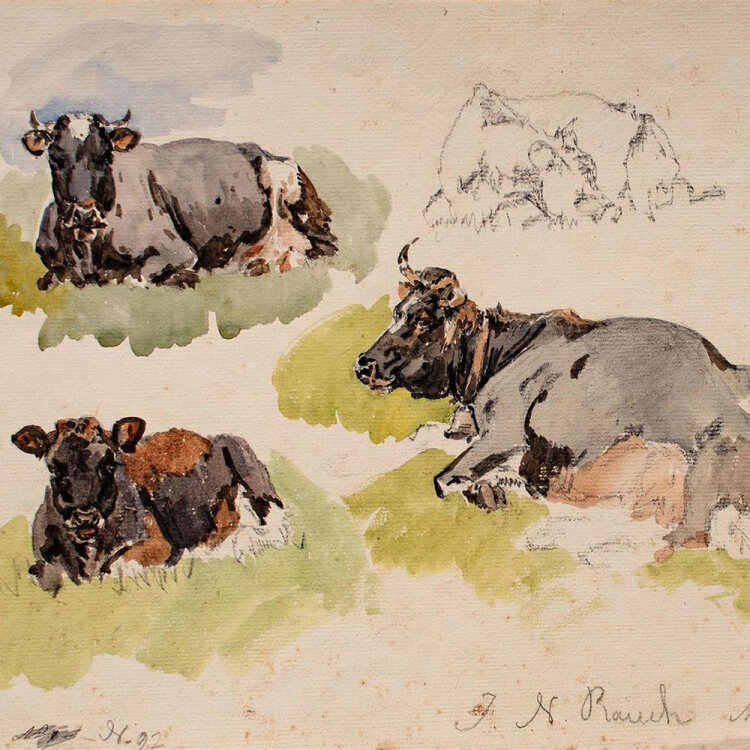 Johann Nepomuk Rauch - Tierstudie - 1840 - Aquarell