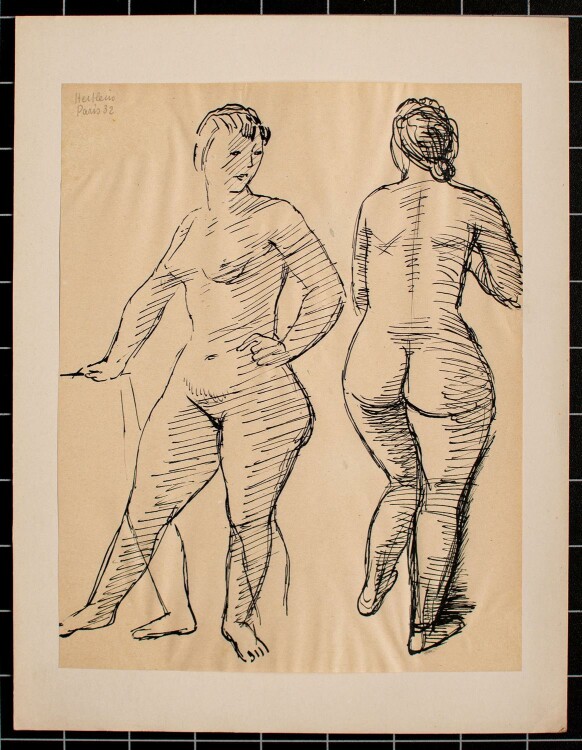 Willi Hertlein - weibliche Akte -Tuschezeichnung - 1932