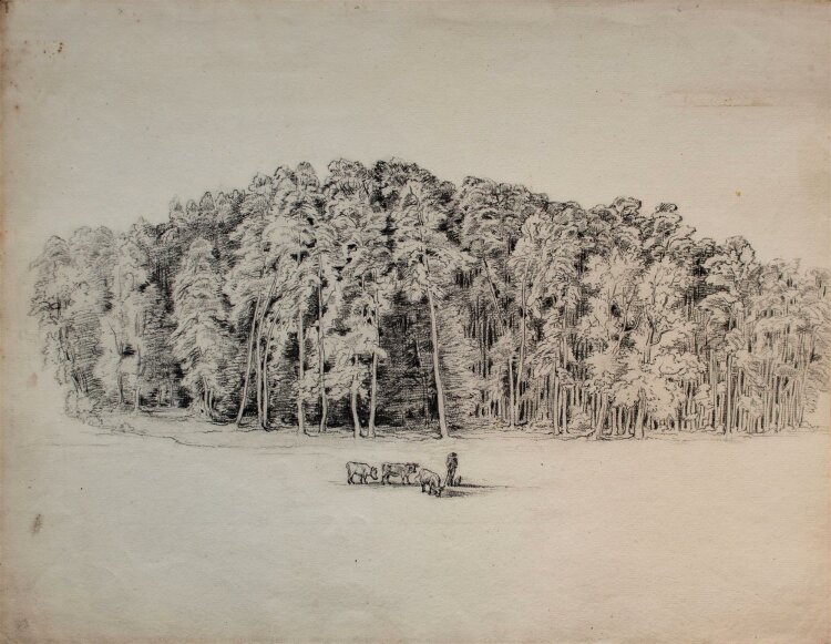 Unbekannt - Hirte mit Kühen vor einem Wald - Kohlezeichnung - o. J.
