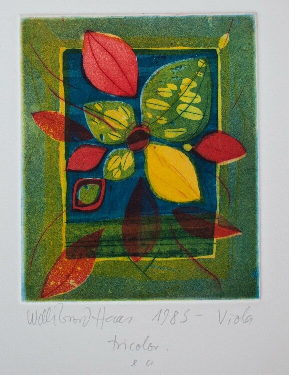 Willibrord Haas - Viola tricolor - Farbradierung - 1983 -...